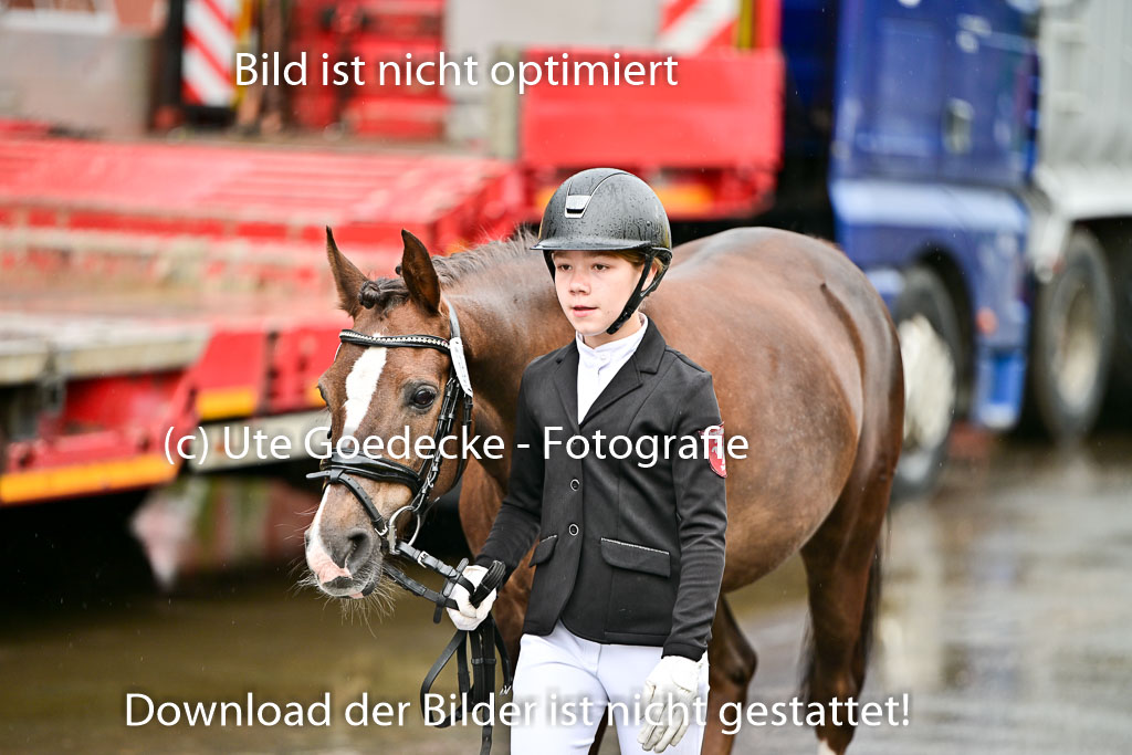  | Vormustern  (162) 