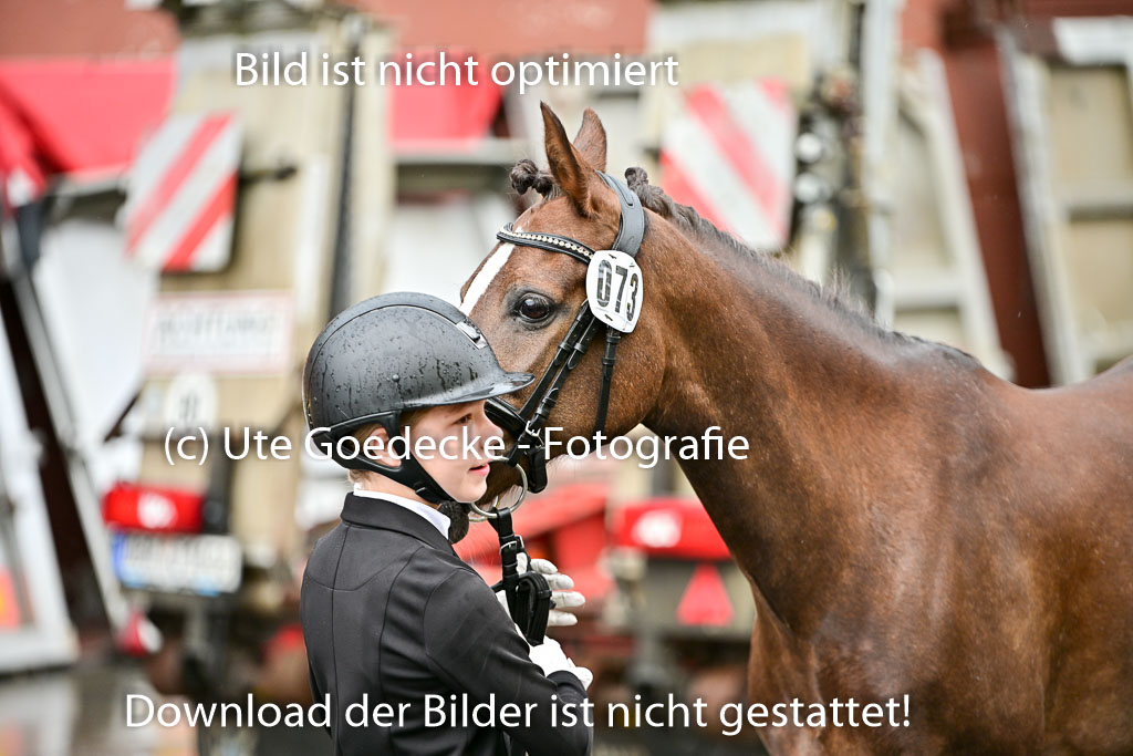  | Vormustern  (163) 