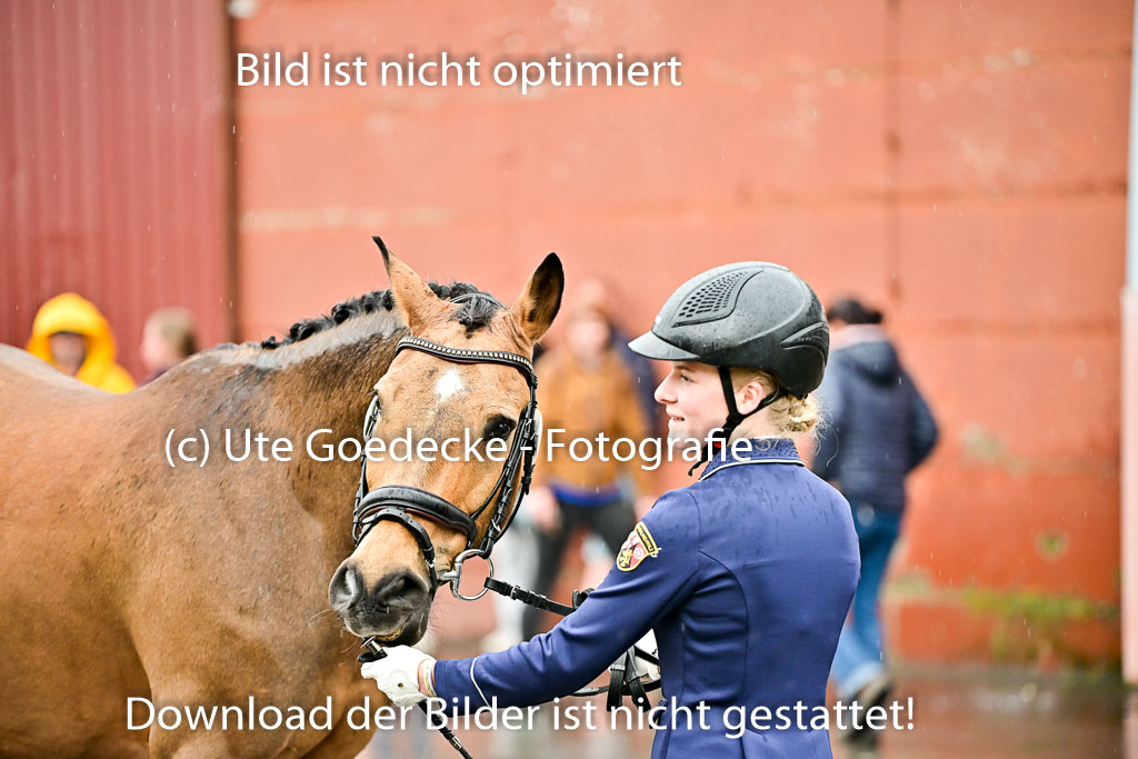  | Vormustern  (17) 
