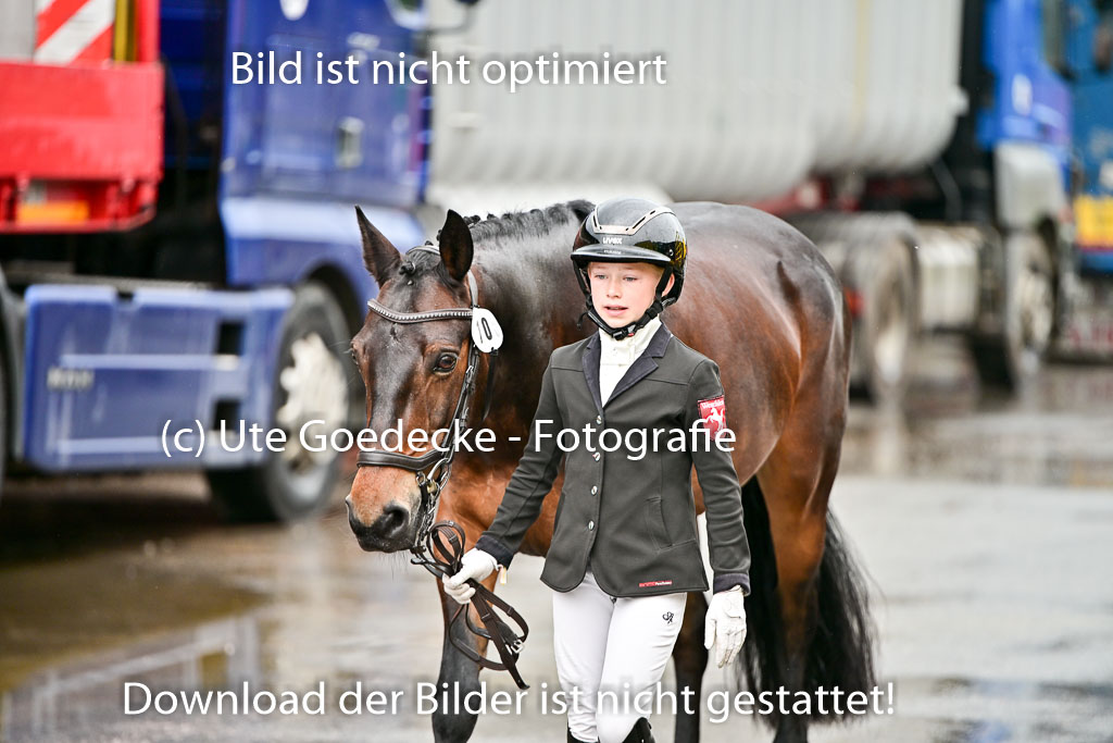 | Vormustern  (173) 