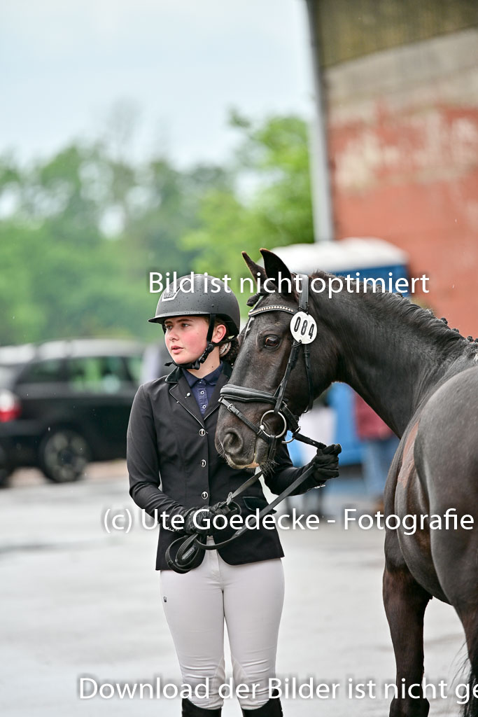  | Vormustern  (177) 