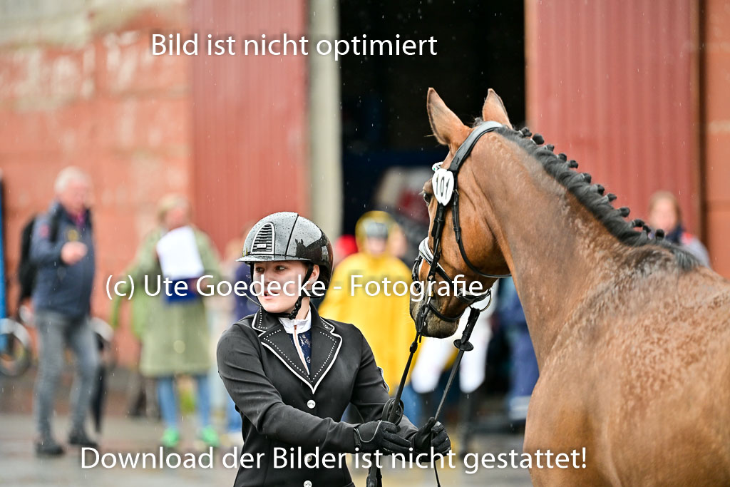  | Vormustern  (18) 