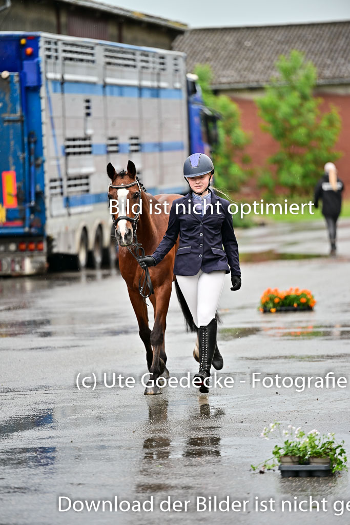  | Vormustern  (180) 