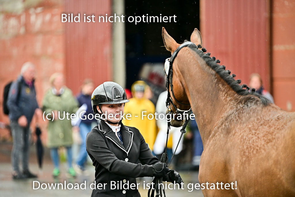 | Vormustern  (19) 