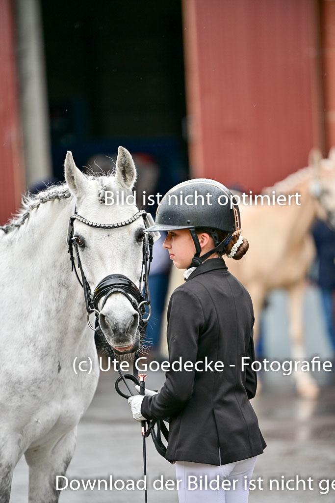  | Vormustern  (192) 