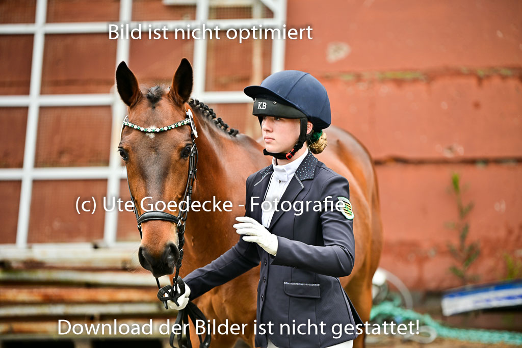  | Vormustern  (195) 