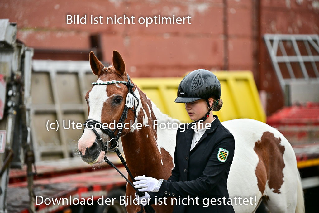  | Vormustern  (20) 