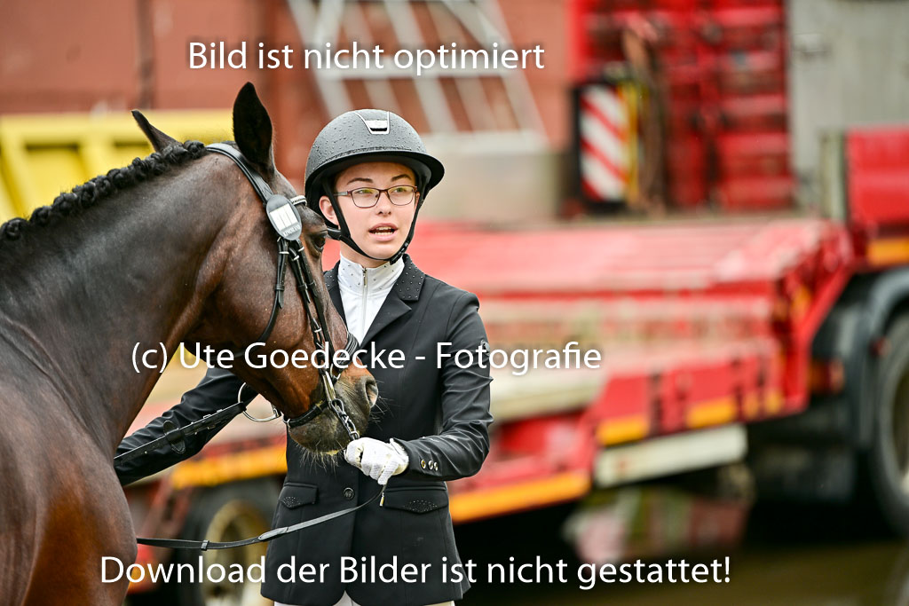  | Vormustern  (204) 