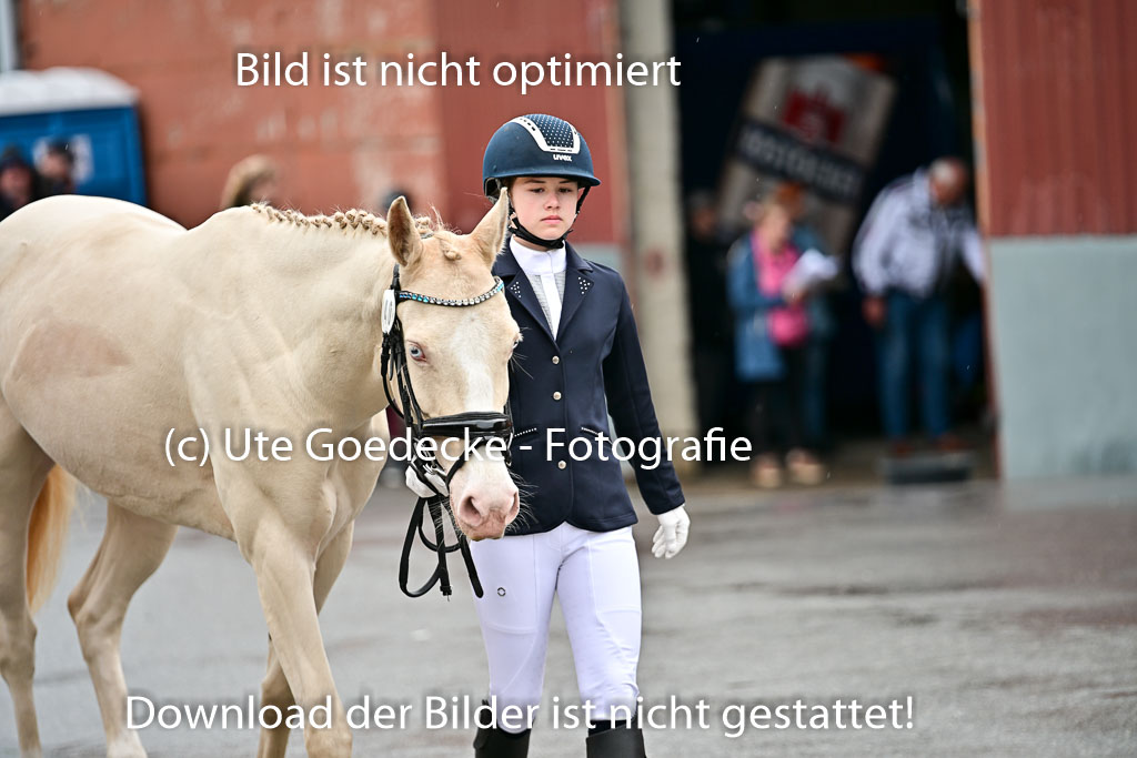  | Vormustern  (225) 