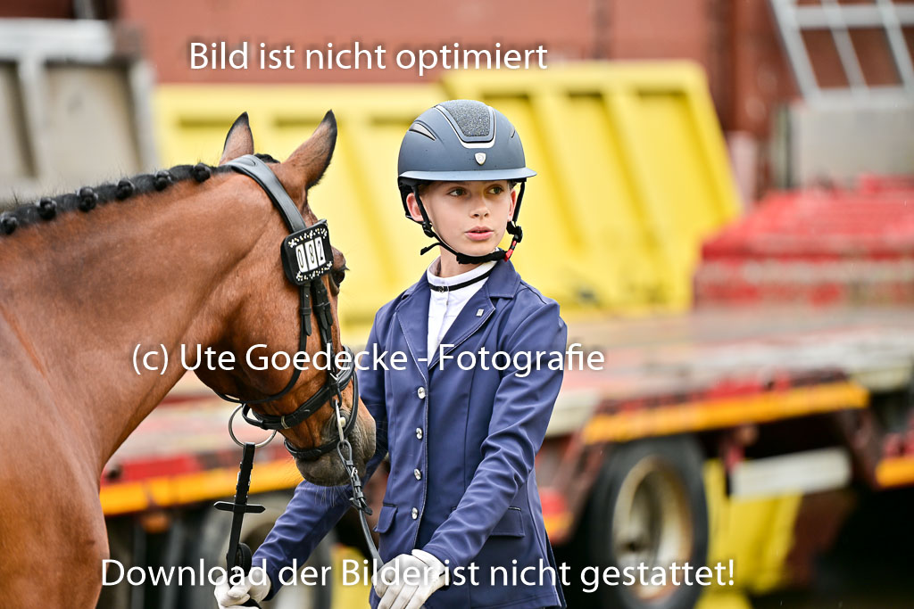  | Vormustern  (233) 