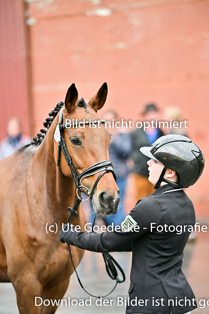  | Vormustern  (24) 