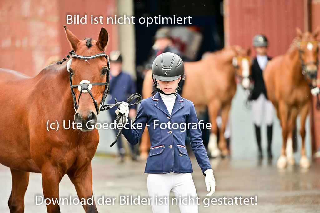  | Vormustern  (246) 