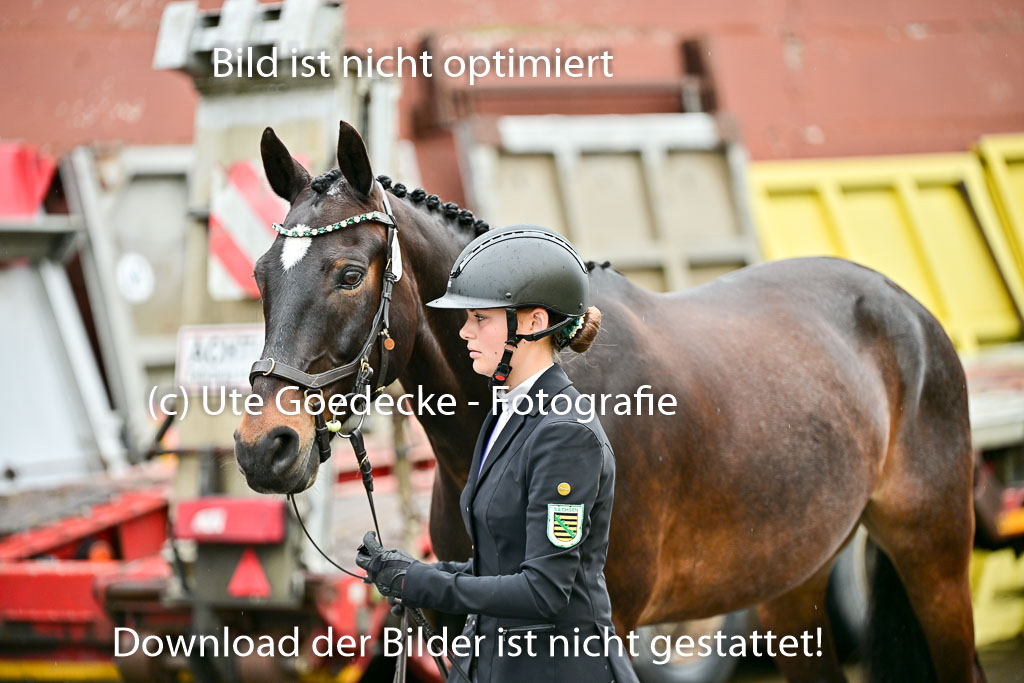  | Vormustern  (262) 