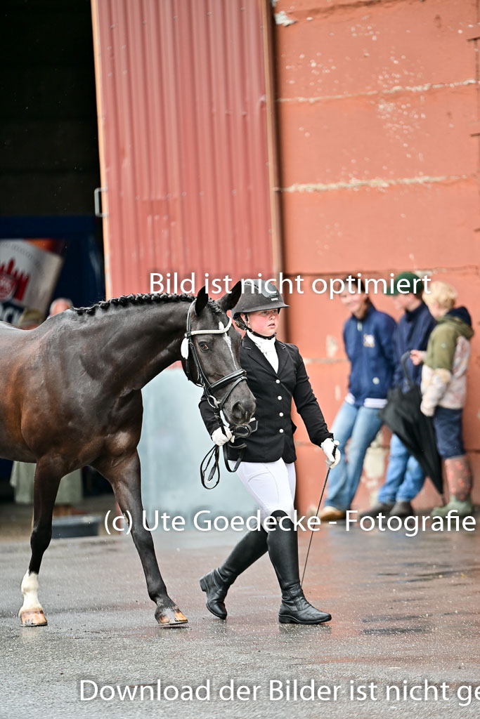  | Vormustern  (287) 