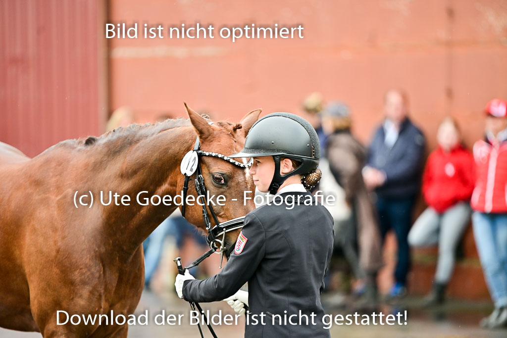  | Vormustern  (288) 