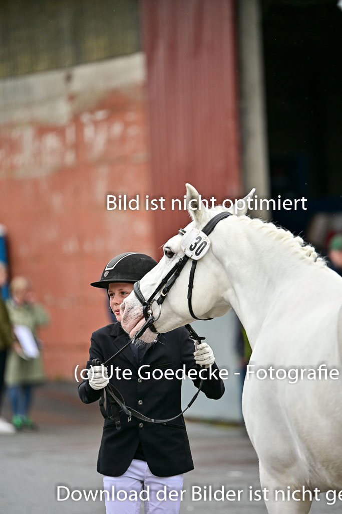  | Vormustern  (293) 