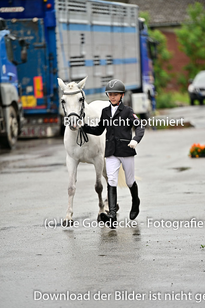  | Vormustern  (296) 