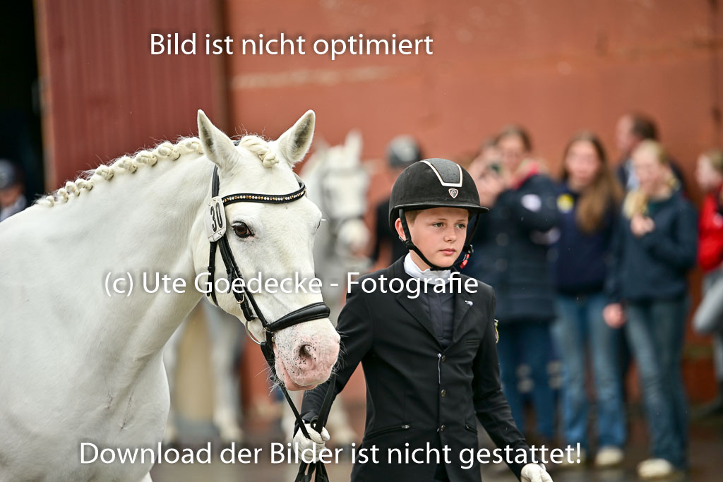  | Vormustern  (299) 