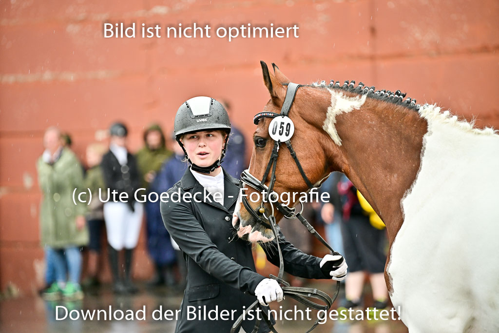  | Vormustern  (3) 