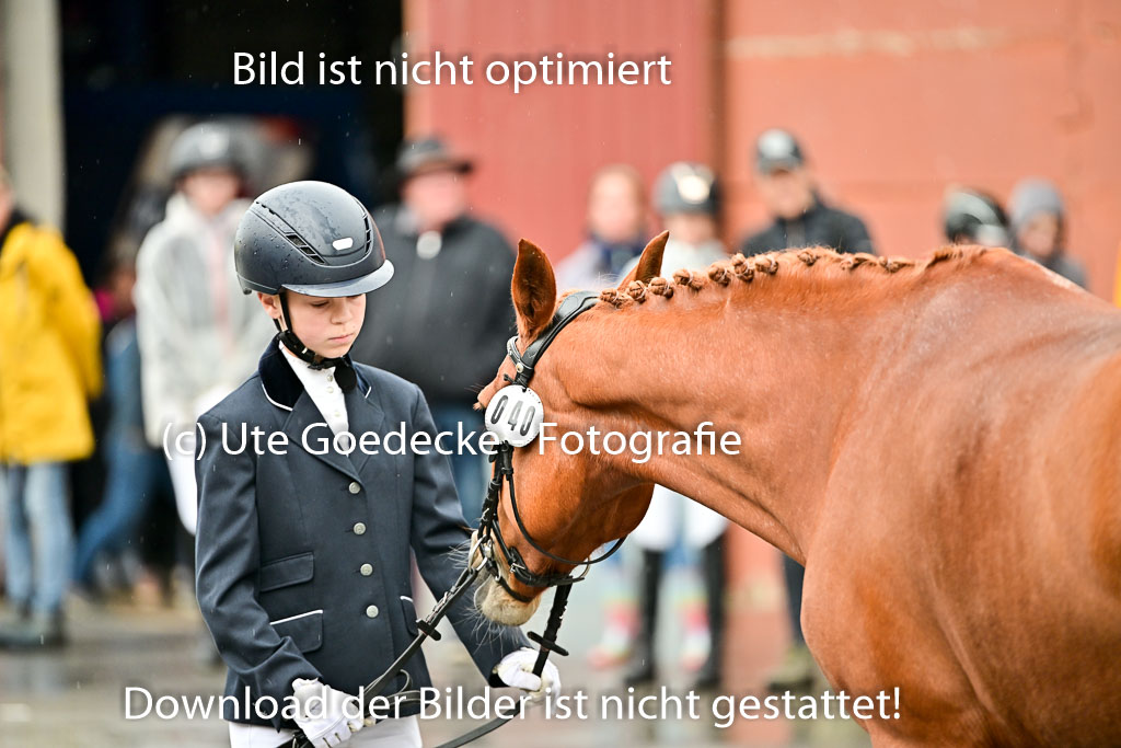  | Vormustern  (30) 