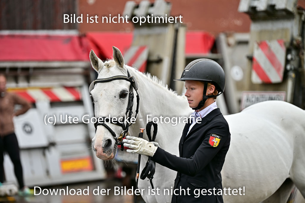  | Vormustern  (306) 