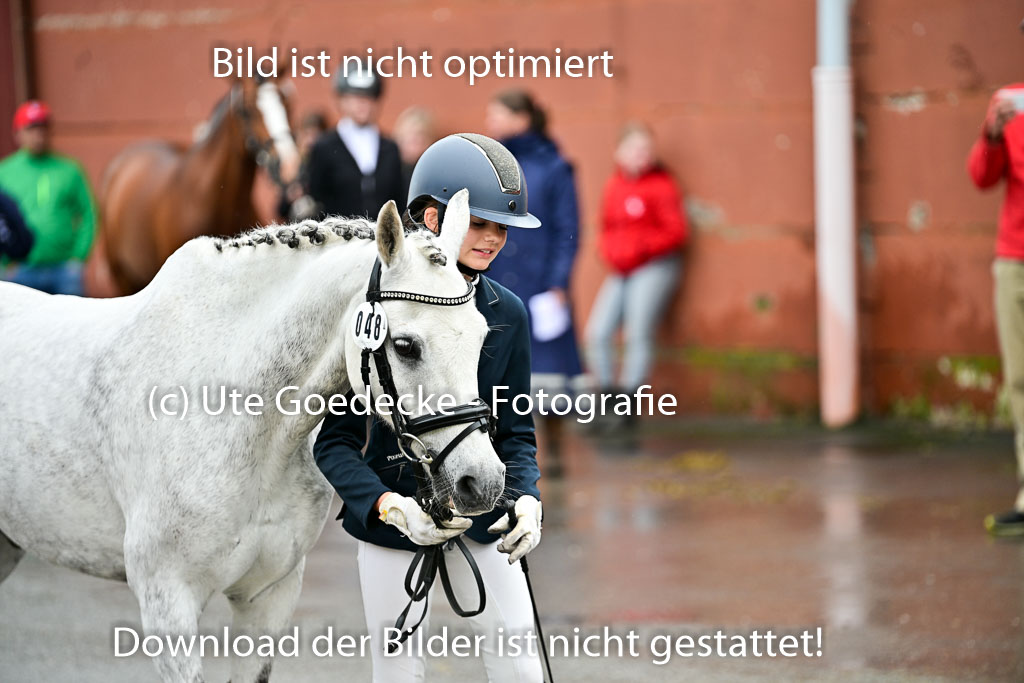  | Vormustern  (319) 
