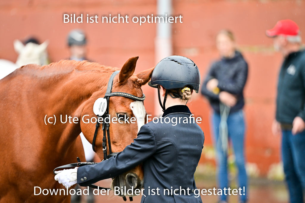  | Vormustern  (33) 