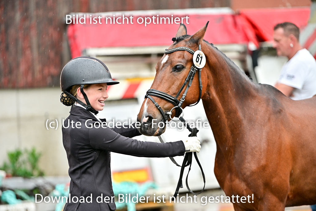  | Vormustern  (37) 