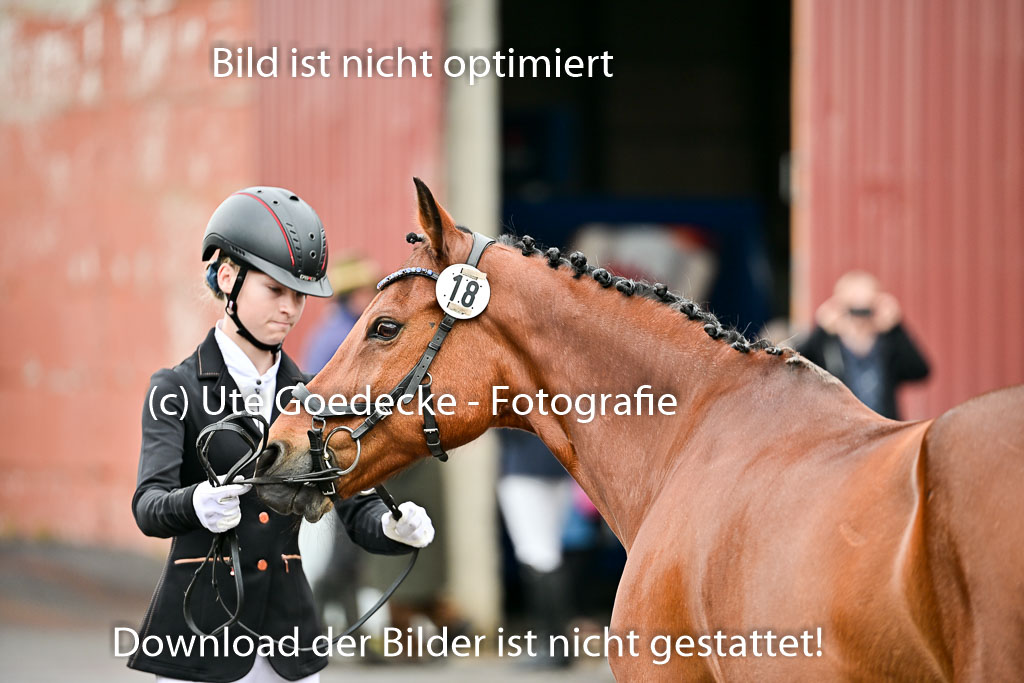  | Vormustern  (373) 
