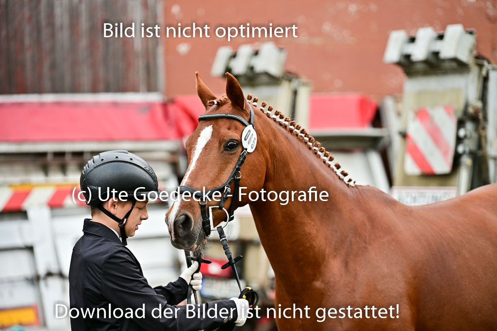  | Vormustern  (388) 