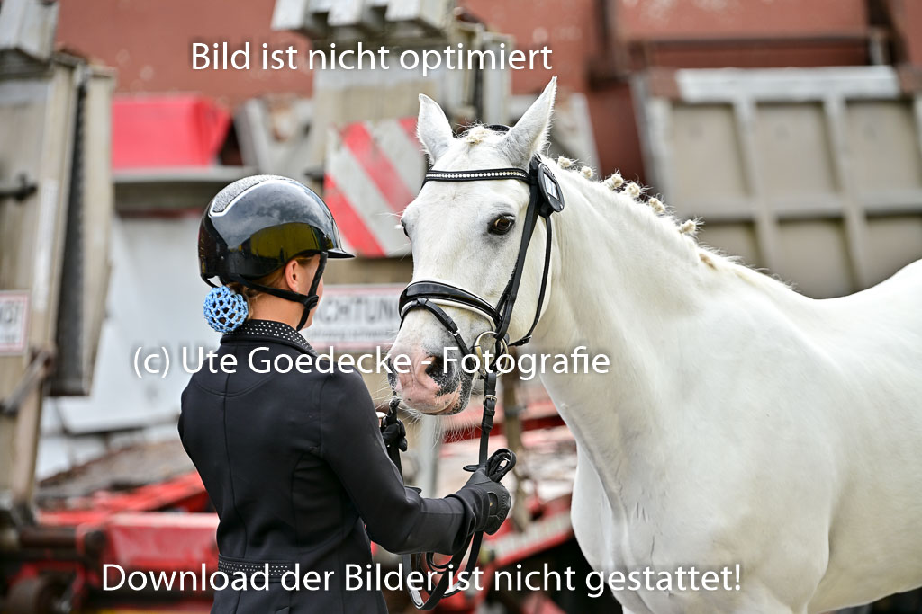  | Vormustern  (426) 