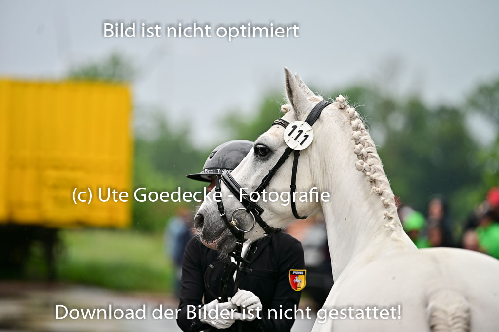  | Vormustern  (44) 
