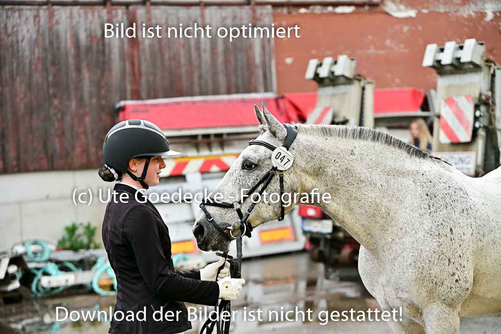  | Vormustern  (445) 