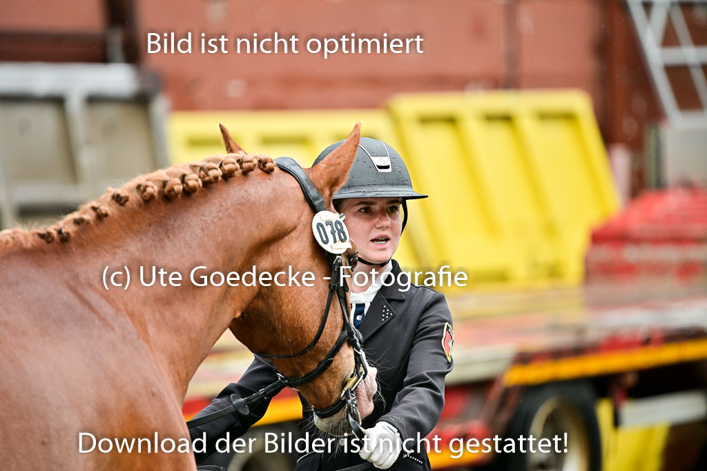  | Vormustern  (45) 