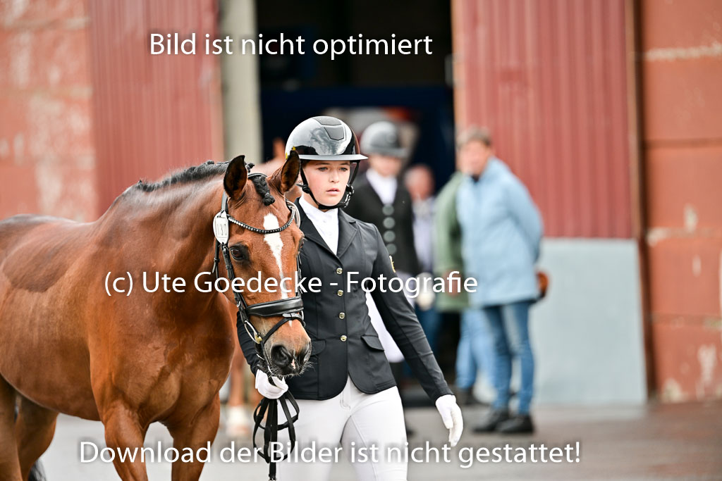  | Vormustern  (450) 