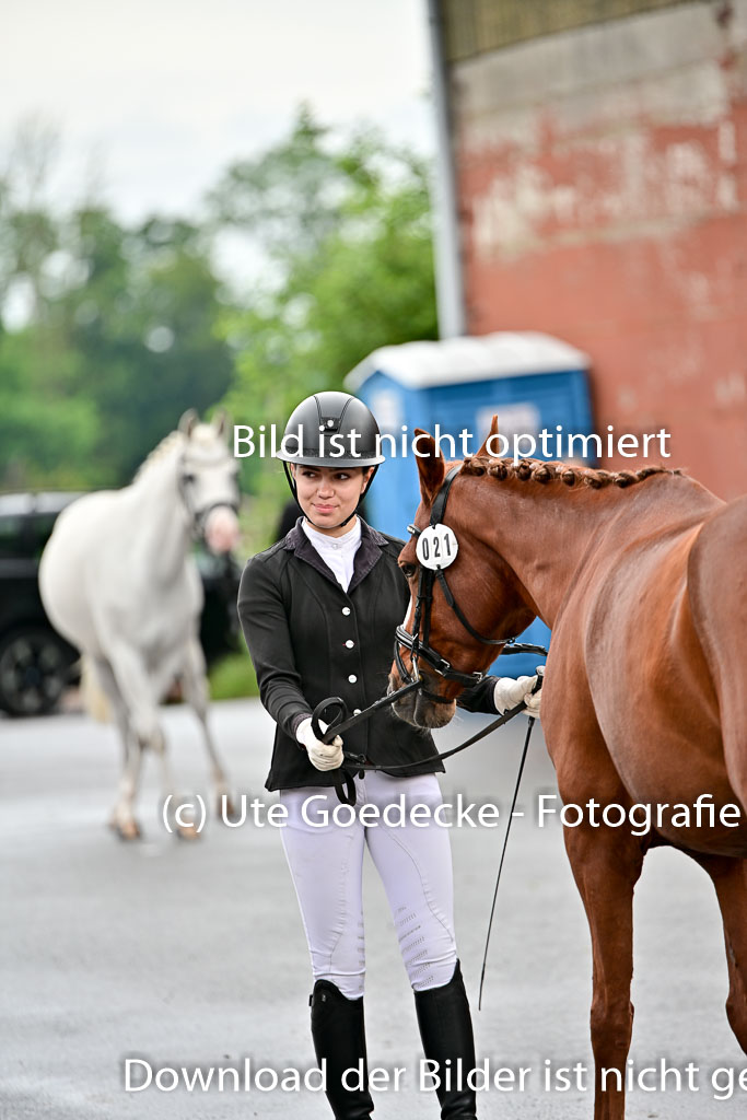  | Vormustern  (457) 