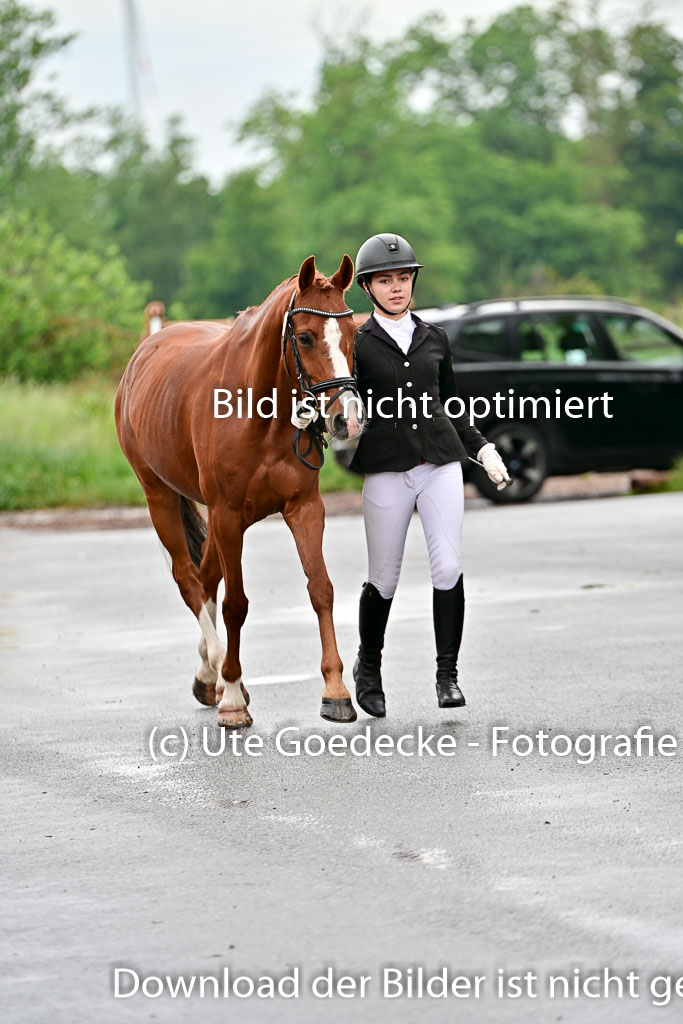  | Vormustern  (463) 
