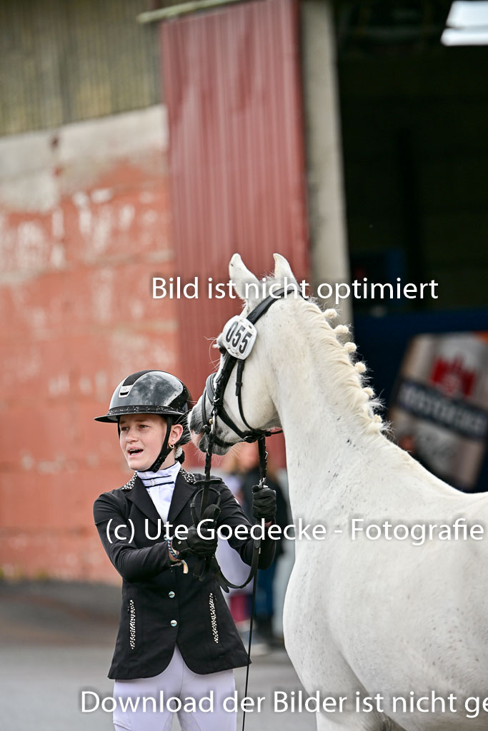  | Vormustern  (468) 