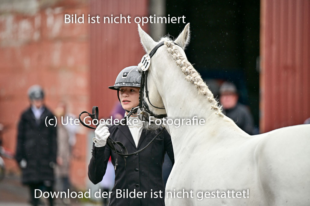  | Vormustern  (47) 