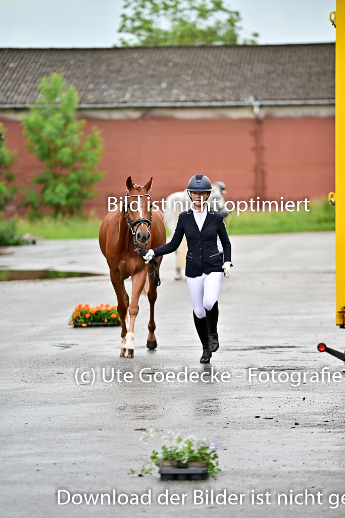  | Vormustern  (481) 