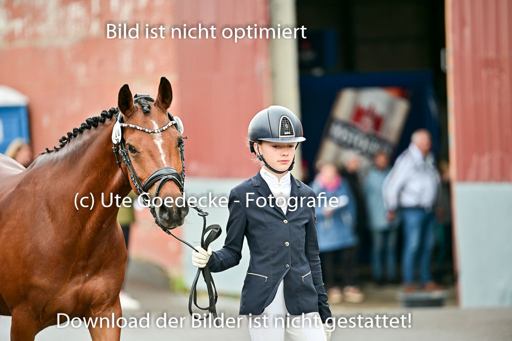  | Vormustern  (484) 