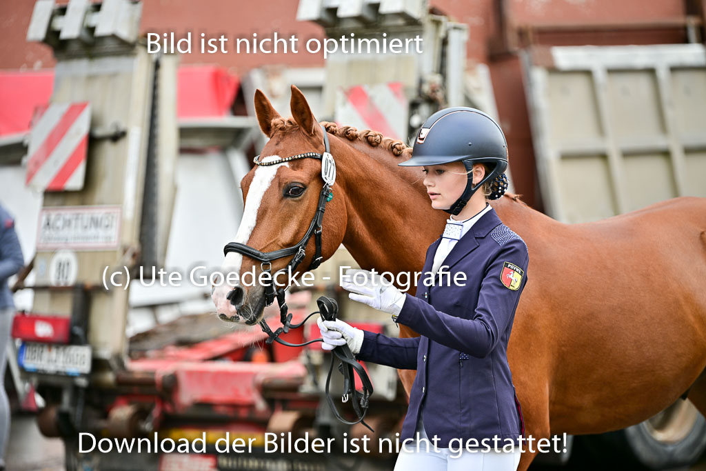  | Vormustern  (494) 