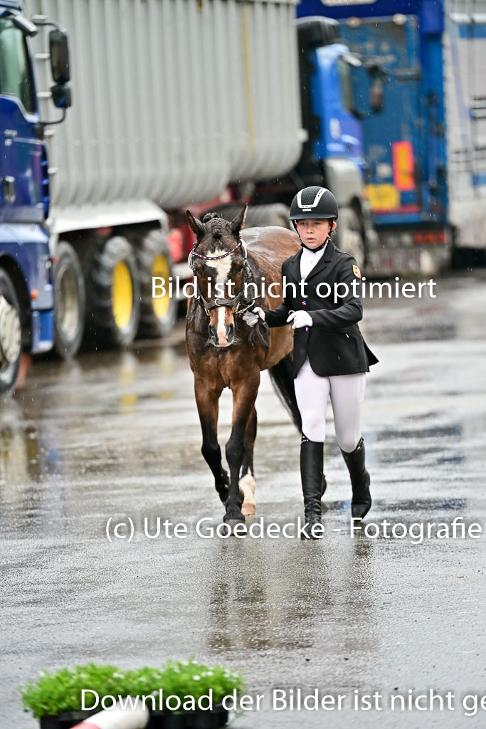  | Vormustern  (5) 