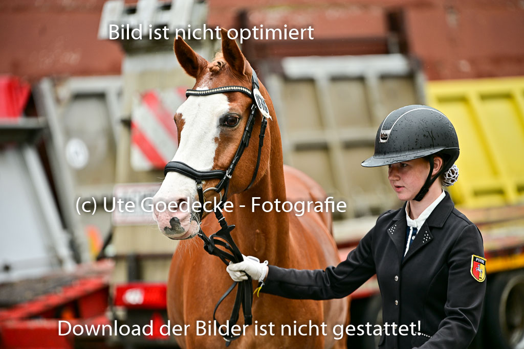  | Vormustern  (50) 