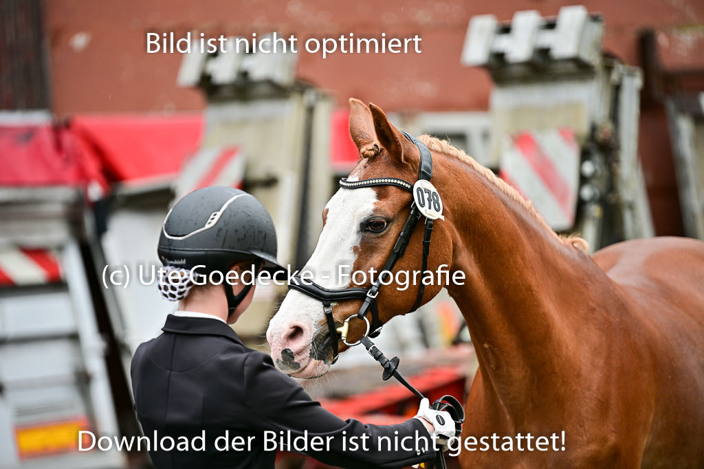  | Vormustern  (51) 