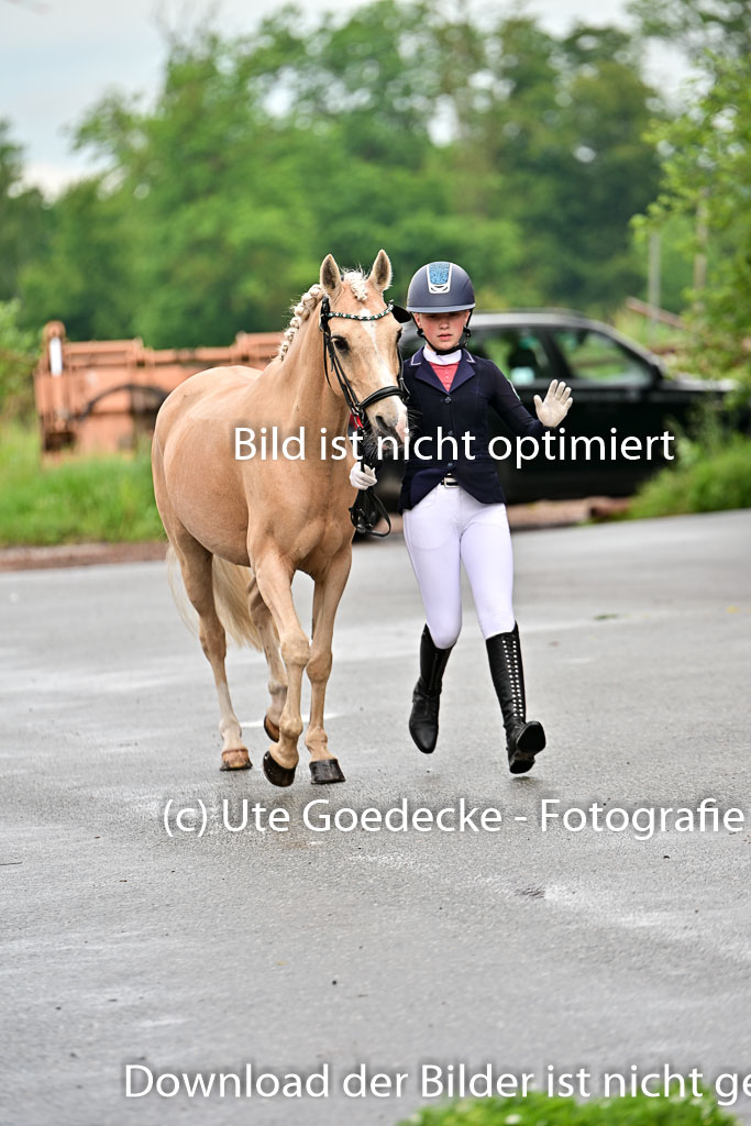  | Vormustern  (520) 