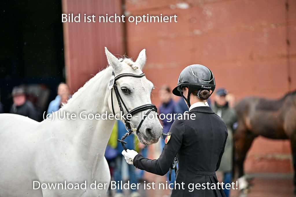  | Vormustern  (53) 