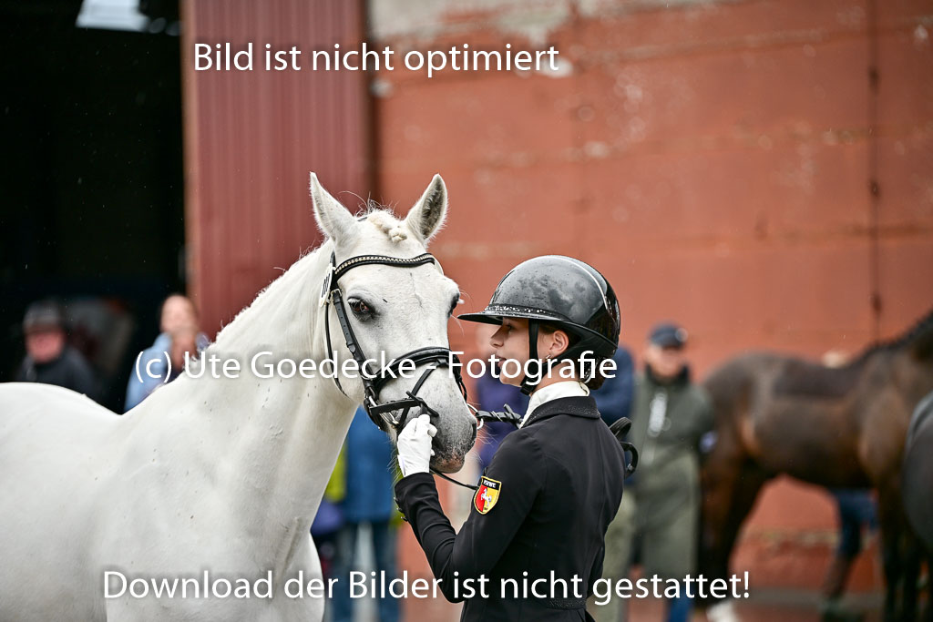  | Vormustern  (54) 