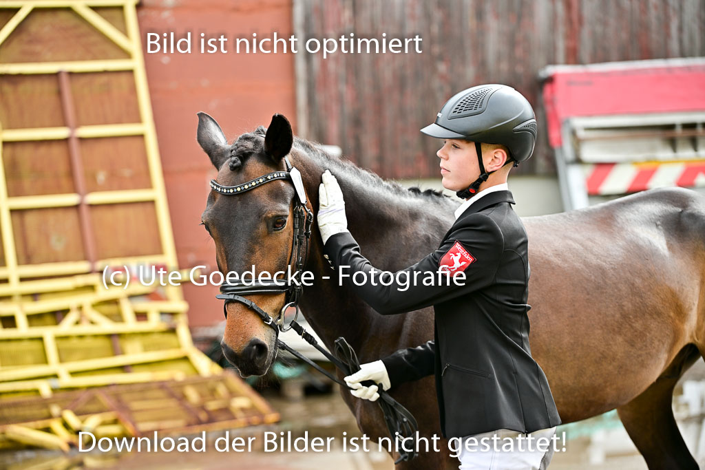  | Vormustern  (542) 