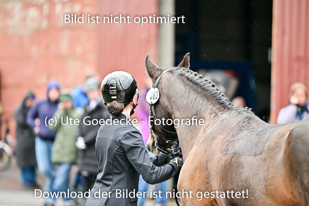  | Vormustern  (58) 